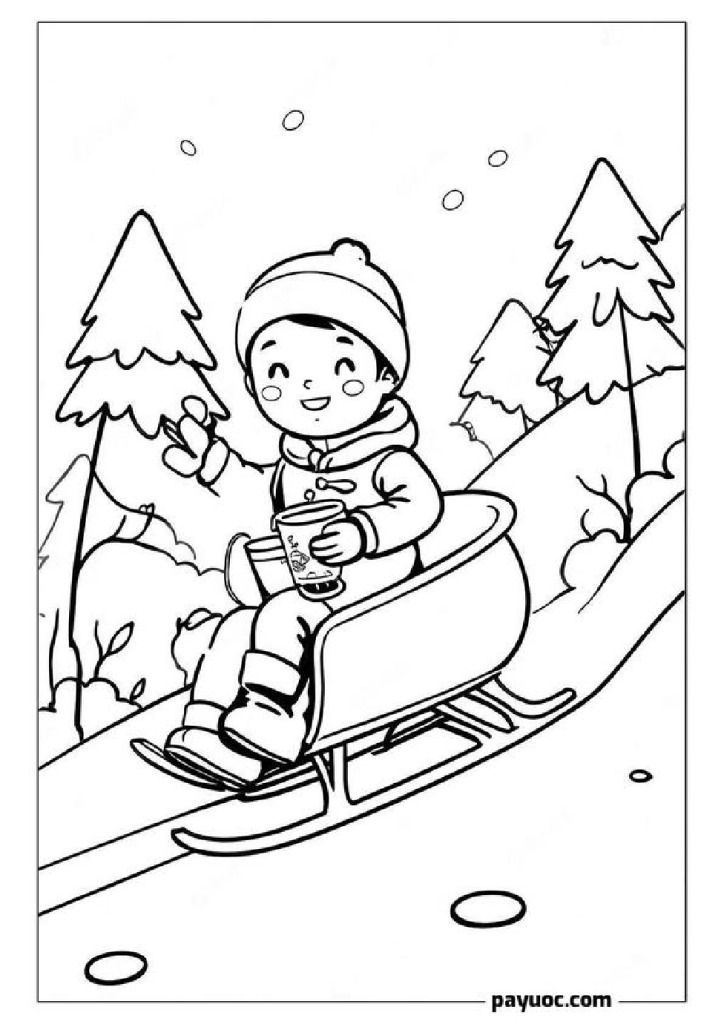 Cocoa Adventure