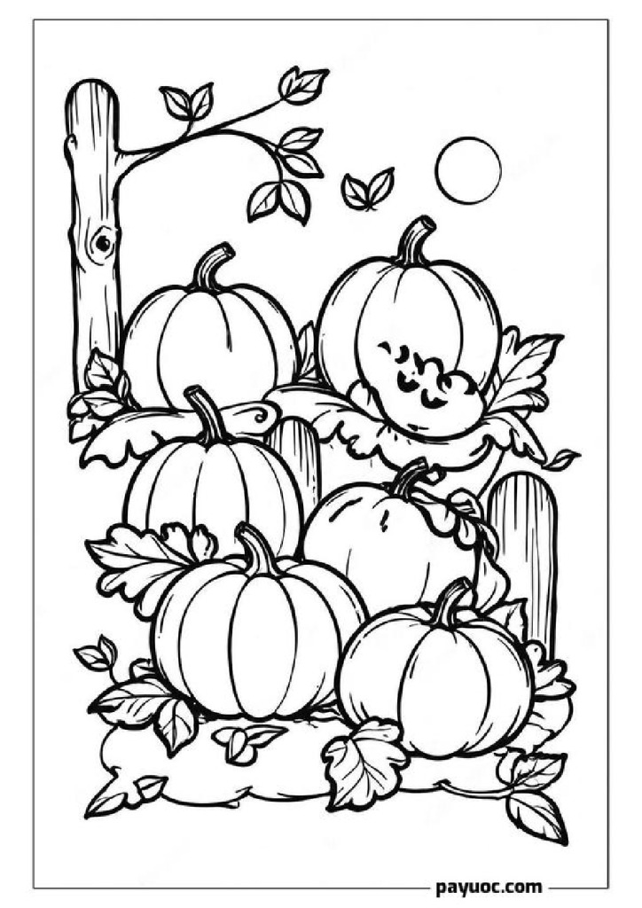 Thanksgiving Pumpkin Garden