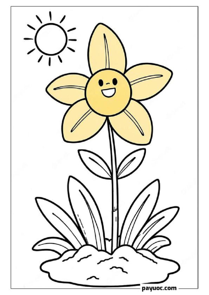 Daffodil Wonder