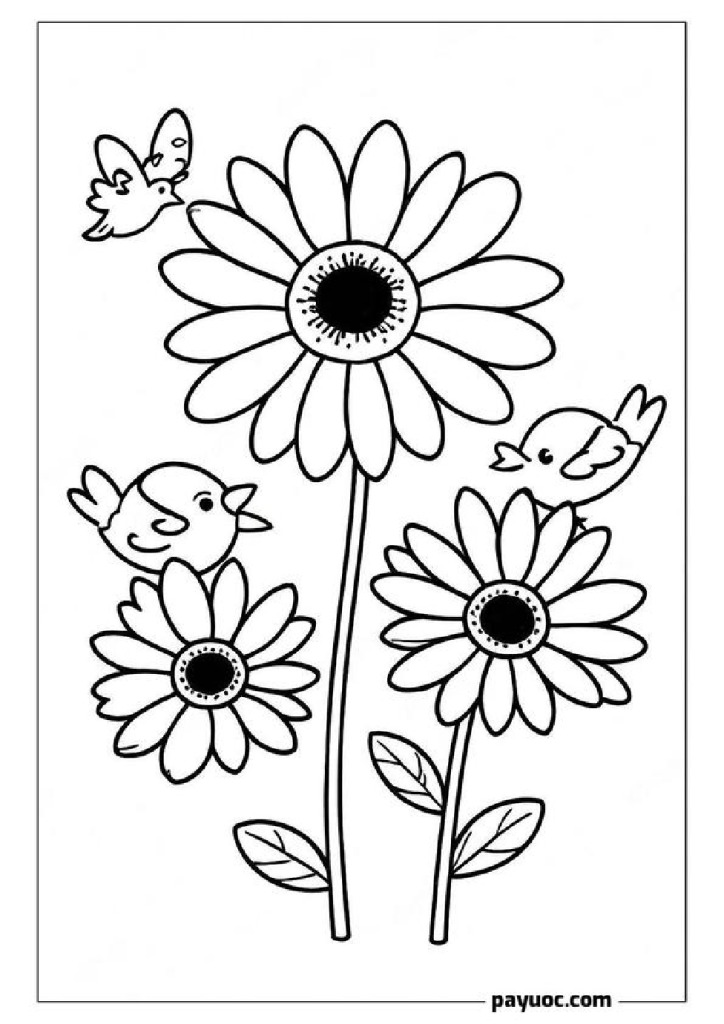 Gerbera Petal Fun