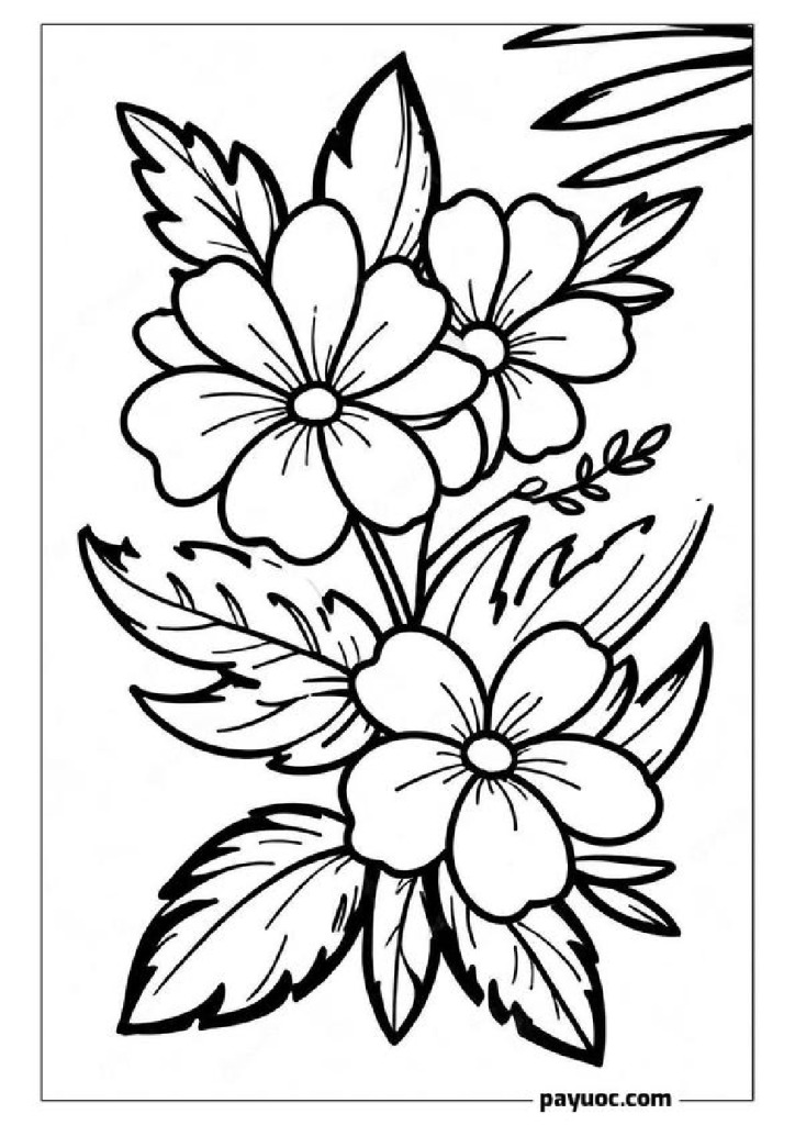 Hawaiian Flower Coloring Pages