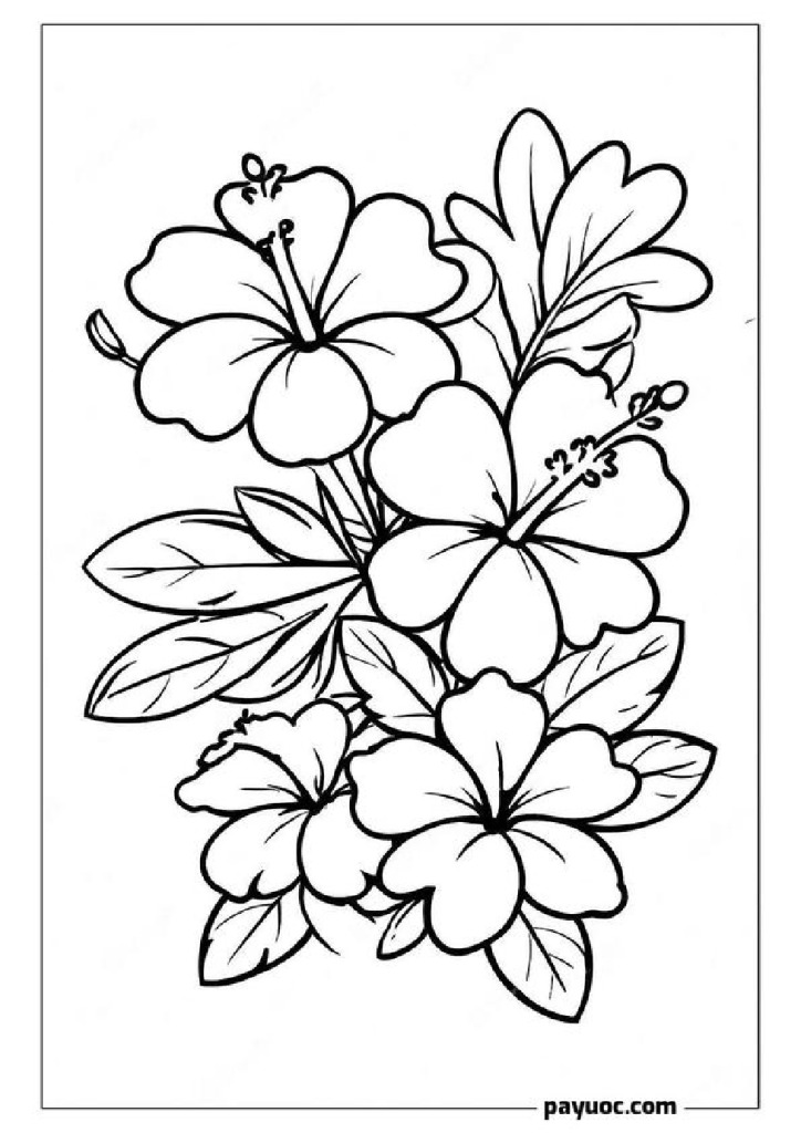 35+ Moana Flower Coloring Pages (FREE PDFs)