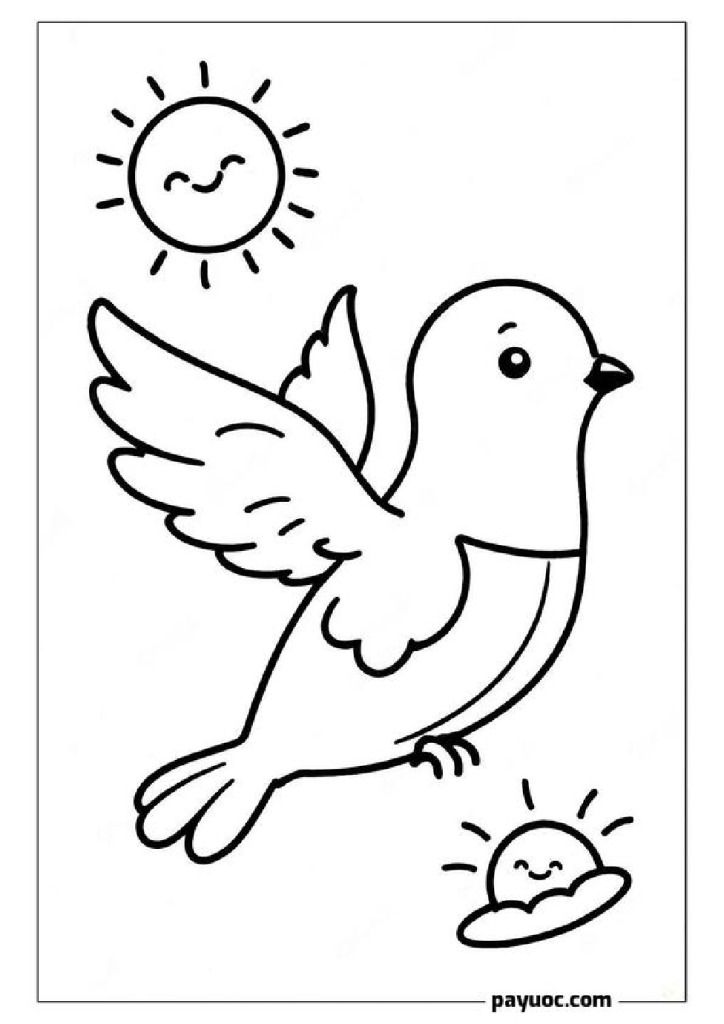 Dove and Sun
