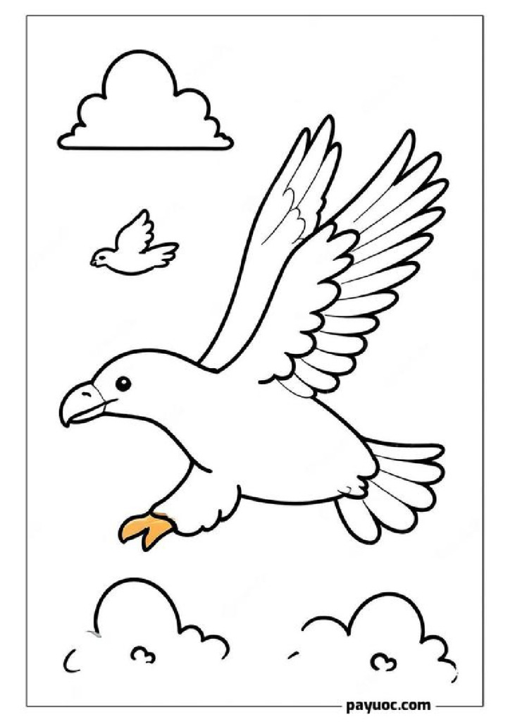 Eagle in the Clouds