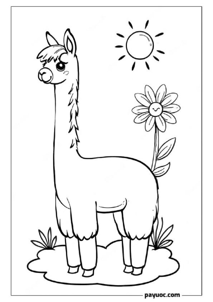 Llama in Bloom
