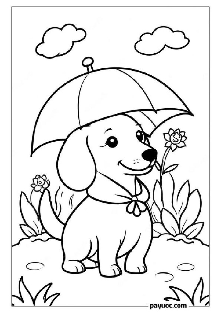 Rainy Day Dachshund