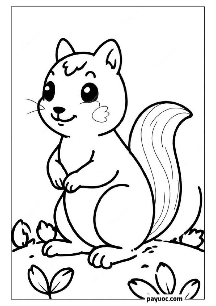 Squirrel’s Flower Patch