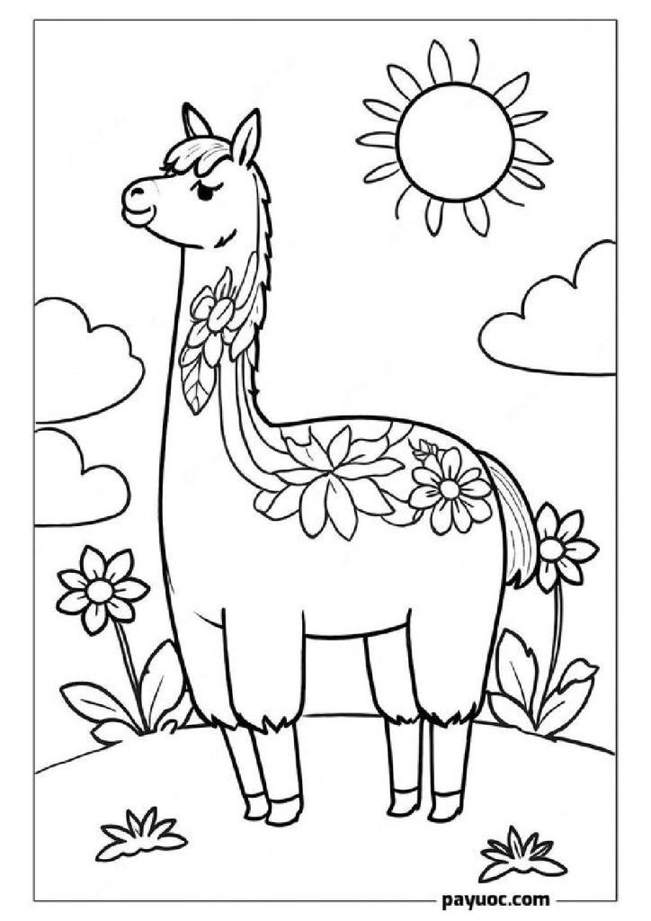 Sunny Llama Scene