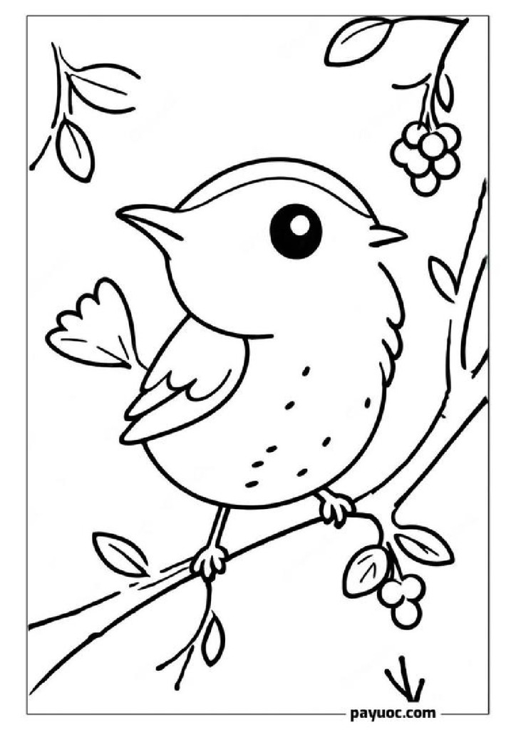 40+ Wren Coloring Pages for Kids (FREE PDFs)